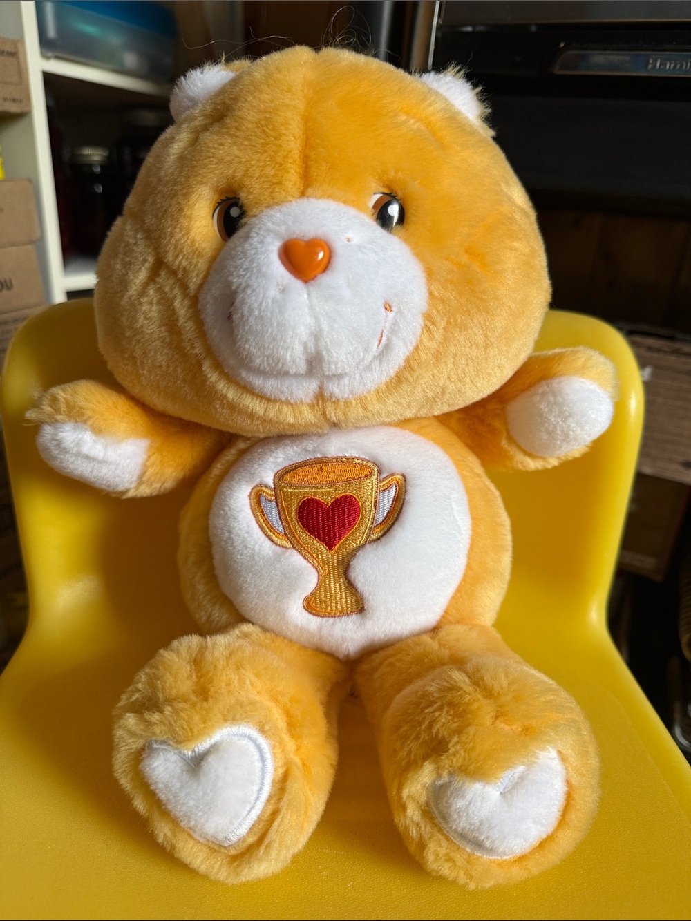 Champ Care Bear